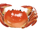 水產(chǎn)